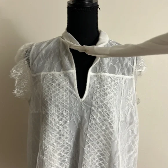 🆕EXPRESS Ivory Tie Neck Lace Top - Size: S - Picture 6 of 8